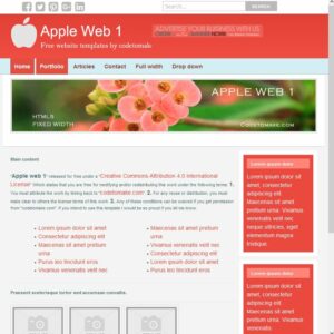 Responsive Script - Image 7